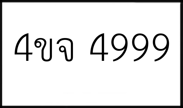 4ขจ 4999